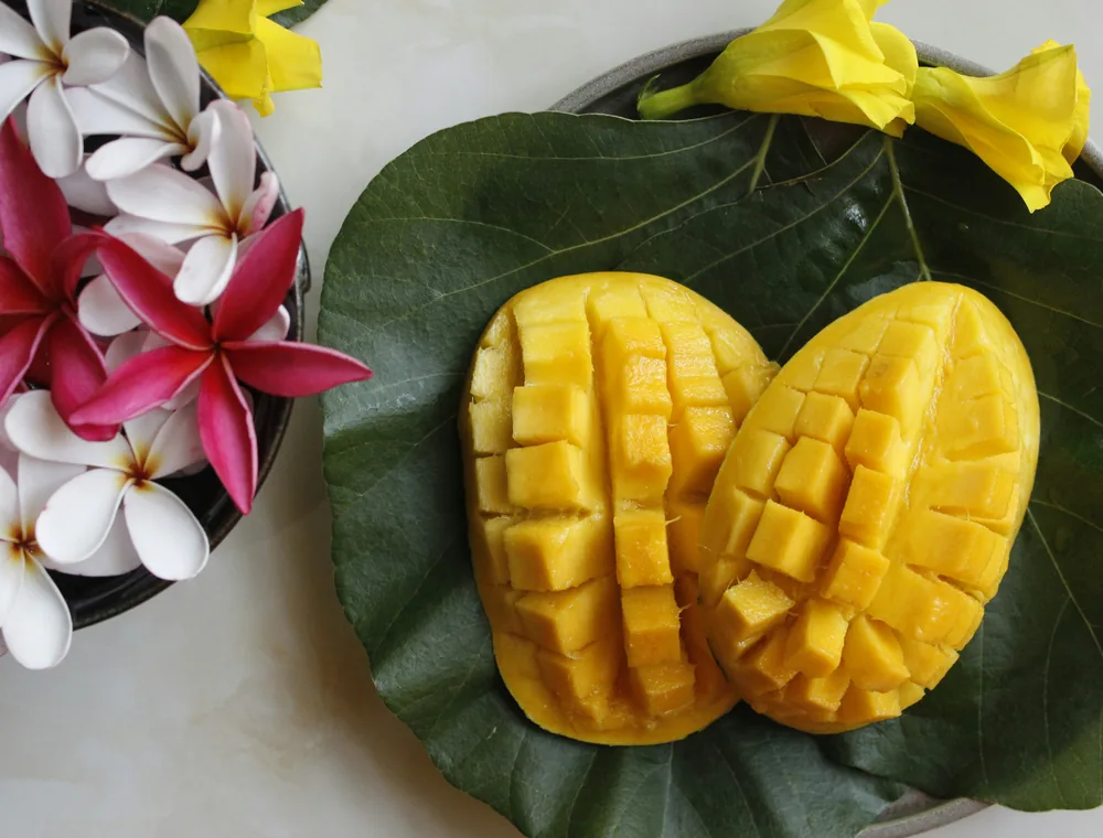 Mangga tropis