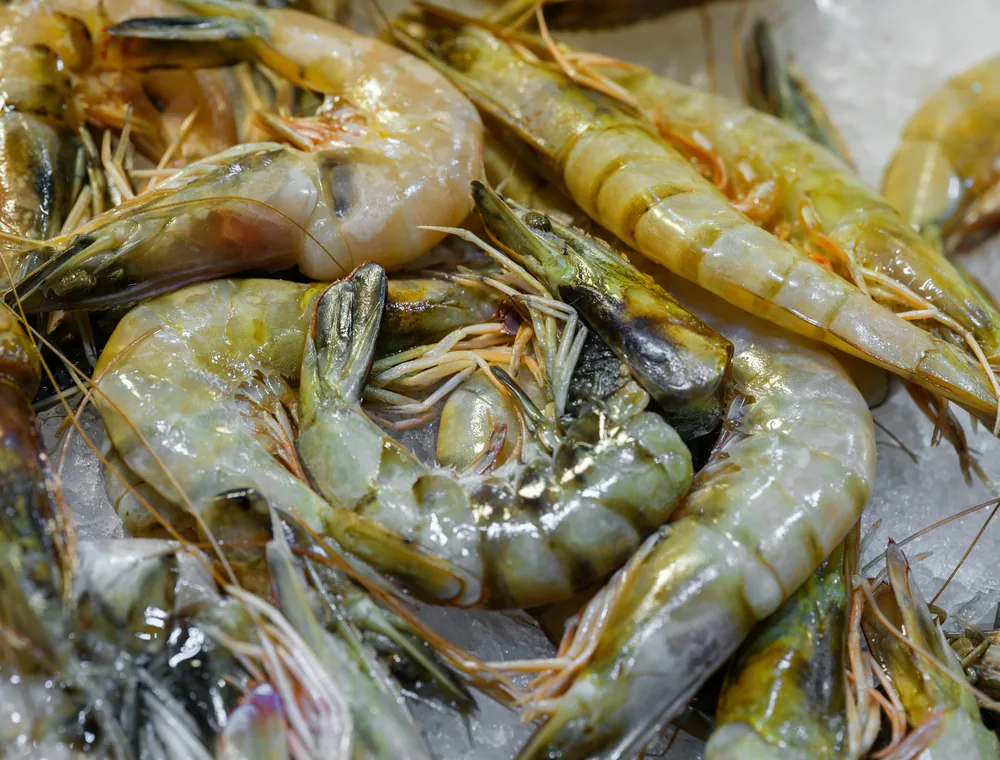 Udang Beku